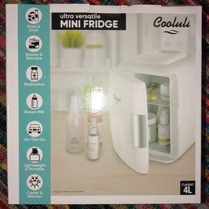Cooluli Mini Fridge – Electric Cooler & Warmer (4L / 6-Can Capacity)